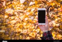 OPPO Find N5